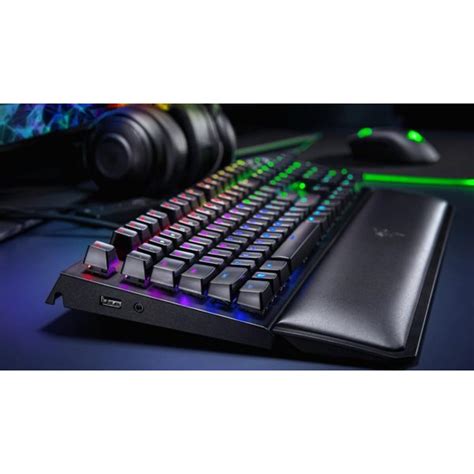 The Ultimate Setup Guide for Your Blackwidow Elite